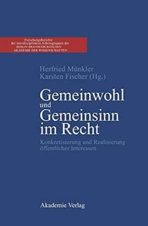 Gemeinwohl und Gemeinsinn im Recht: Konkretisierung und Realisierung öffentlicher Interessen de Herfried Münkler