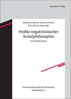 Profile negativistischer Sozialphilosophie: Ein Kompendium de Burkhard Liebsch