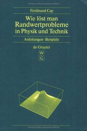 Wie löst man Randwertprobleme in Physik und Technik: Anleitungen, Beispiele de Ferdinand Cap