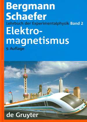 Elektromagnetismus de Wilhelm Raith