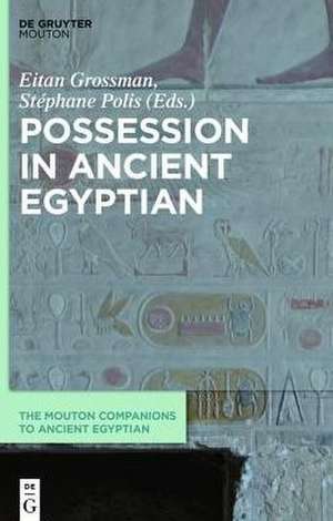 Possession in Ancient Egyptian de Eitan Grossman