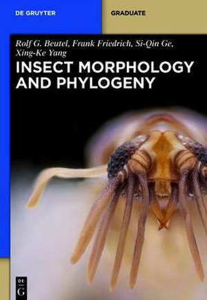 Insect Morphology and Phylogeny: A Textbook for Students of Entomology de Rolf G. Beutel