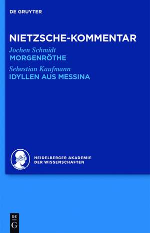 Kommentar zu Nietzsches "Morgenröthe", "Idyllen aus Messina" de Jochen Schmidt