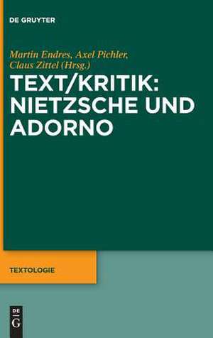 Text/Kritik: Nietzsche und Adorno de Martin Endres