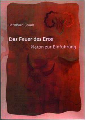 Das Feuer des Eros: Platon zur Einführung de Bernhard Braun