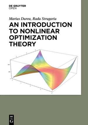 An Introduction to Nonlinear Optimization Theory de Marius Durea