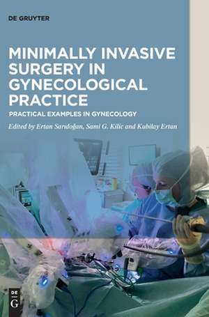 Minimally Invasive Surgery in Gynecological Practice de Ertan Sarido¿an