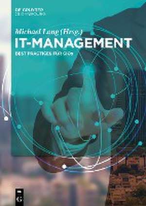 IT-Management de Michael Lang