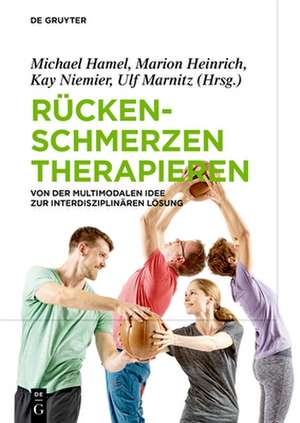 Rückenschmerzen therapieren de Michael Hamel