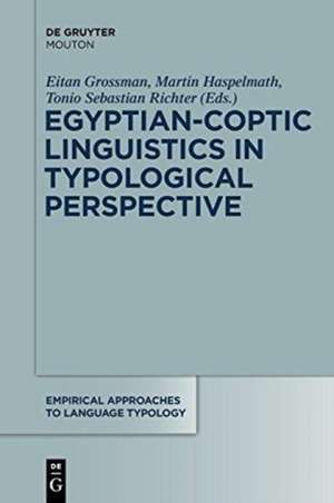 Egyptian-Coptic Linguistics in Typological Perspective de Eitan Grossman