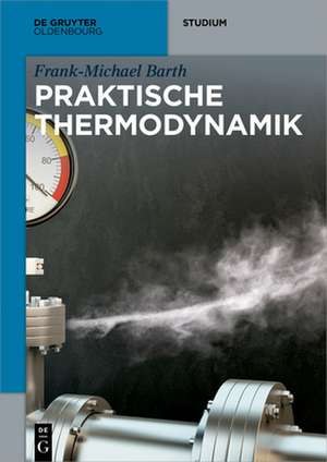 Praktische Thermodynamik de Frank-Michael Barth