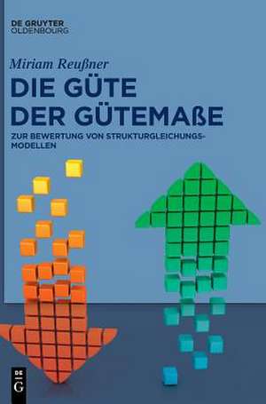 Die Güte der Gütemaße de Miriam Reußner