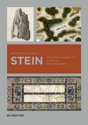 Stein – Eine Materialgeschichte in Quellen der Vormoderne de Iris Wenderholm