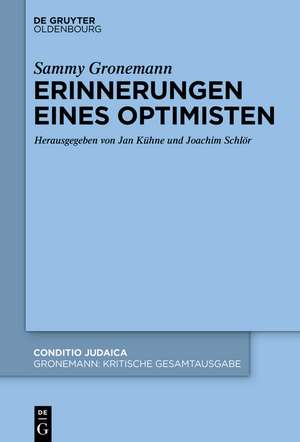 Erinnerungen eines Optimisten de Jan Kühne