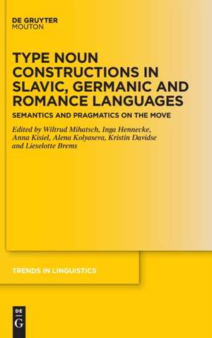 Type Noun Constructions in Slavic, Germanic and Romance Languages : Semantics and Pragmatics on the Move de Wiltrud Mihatsch