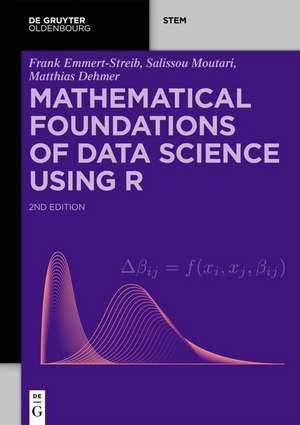 Mathematical Foundations of Data Science Using R de Matthias Dehmer
