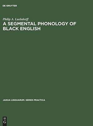 A segmental phonology of Sack English de Philip A. Luelsdorff