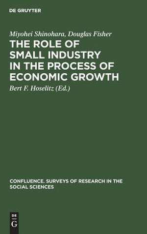 The role of small industry in the process of economic growth de Miyohei Shinohara