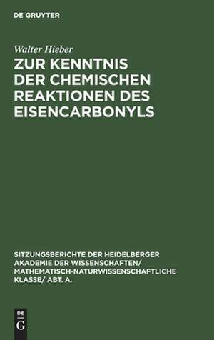 Zur Kenntnis der chemischen Reaktionen des Eisencarbonyls: (4. Mitteilung über Metallcarbonyle) de Walter Hieber