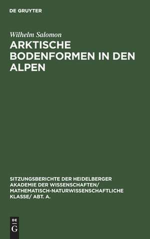 Arktische Bodenformen in den Alpen de Wilhelm Salomon