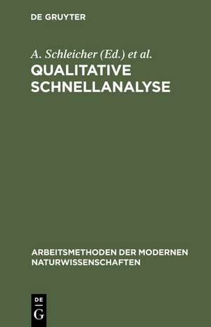 Qualitative Schnellanalyse de A. Schleicher