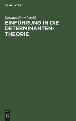 Einführung in die Determinantentheorie de Gerhard Kowalewski