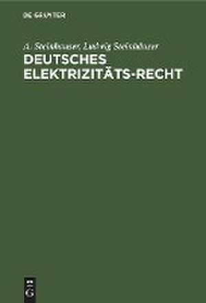 Deutsches Elektrizitäts-Recht de Ludwig Steinhäuser