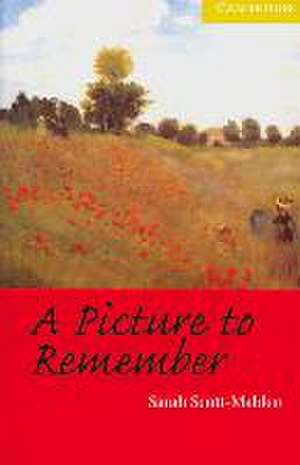 A Picture to Remember de Sarah Scott-Malden