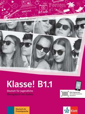 Klasse! B1.1 de Sarah Fleer