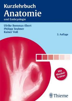 Kurzlehrbuch Anatomie de Ulrike Bommas-Ebert