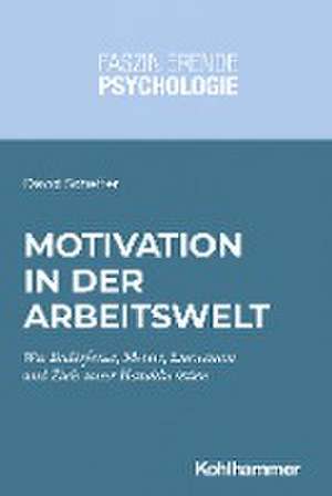 Motivation in der Arbeitswelt de David Scheffer