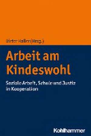 Arbeit am Kindeswohl de Dieter Haller