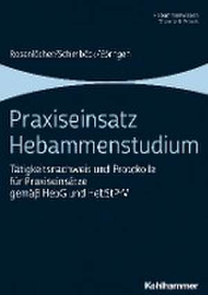 Praxiseinsatz Hebammenstudium de Franziska Rosenlöcher