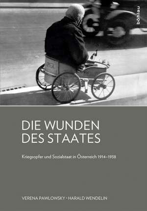 Die Wunden des Staates de Verena Pawlowsky