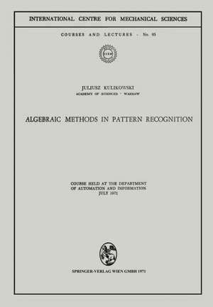 Algebraic Methods in Pattern Recognition: Course held at the Department of Automation and Information, July 1971 de Juliusz Kulikowski