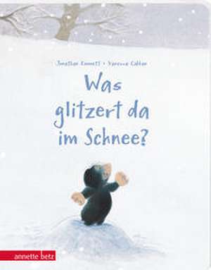 Was glitzert da im Schnee? de Jonathan Emmett