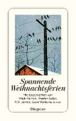 Spannende Weihnachtsferien de Shelagh Armit