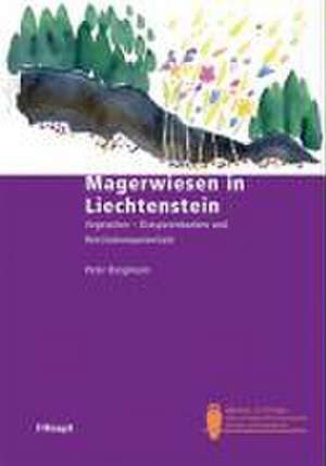 Magerwiesen in Liechtenstein de Peter Borgmann