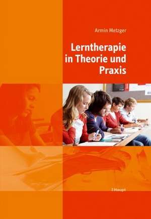 Lerntherapie in Theorie und Praxis de Armin Metzger