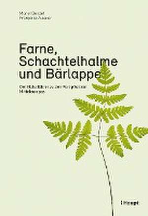 Farne, Schachtelhalme und Bärlappe de Muriel Bendel