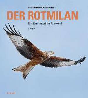 Der Rotmilan de Adrian Aebischer