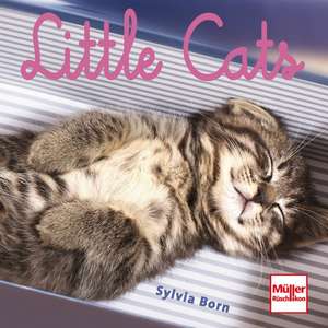 Little Cats de Sylvia Born