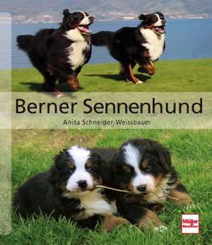 Berner Sennenhund de Anita Schneider-Weissbaum