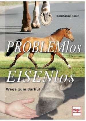 Problemlos Eisenlos de Konstanze Rasch