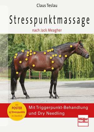 Stresspunktmassage nach Jack Meagher de Claus Teslau