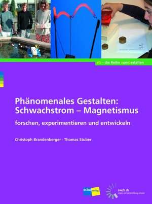 Phänomenales Gestalten: Schwachstrom - Magnetismus de Christoph Brandenberger