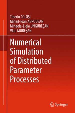 Numerical Simulation of Distributed Parameter Processes de Tiberiu Colosi