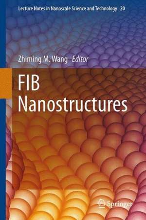 FIB Nanostructures de Zhiming M. Wang