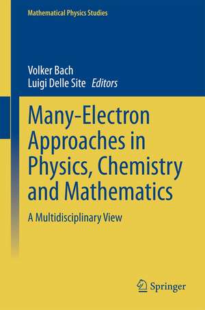 Many-Electron Approaches in Physics, Chemistry and Mathematics: A Multidisciplinary View de Volker Bach