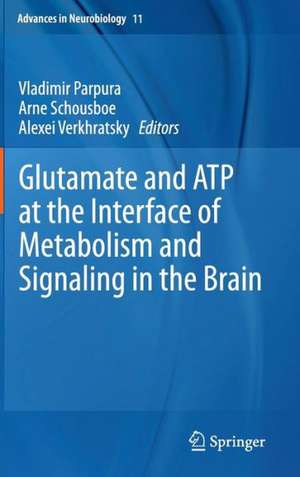 Glutamate and ATP at the Interface of Metabolism and Signaling in the Brain de Vladimir Parpura